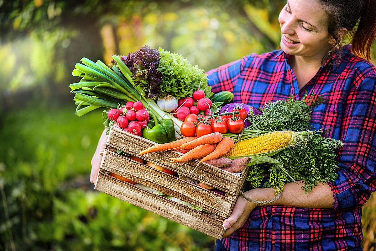 Warum Antioxidantien wichtig sind